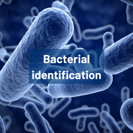 Barcoding identification bactérienne