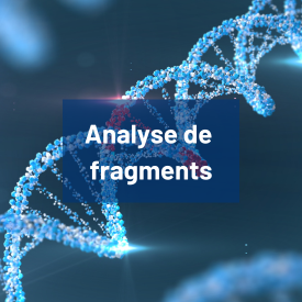 Bouton analyse de fragments