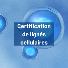 Bouton certification de lignés cellulaires