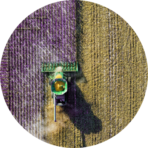 Agricultural field crop landscape