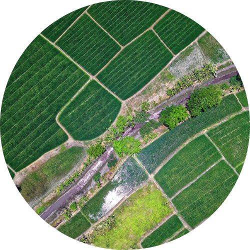 Aerial view of agricultural soils with a river and scattered trees, illustrating land-use diversity and soil microbiome genomics applications