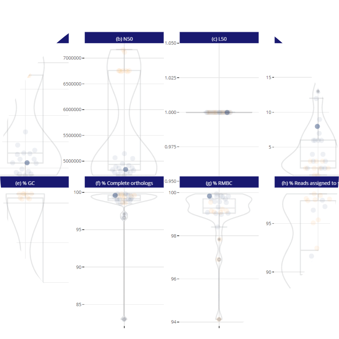 GenoScreen - Accurate and actionable results