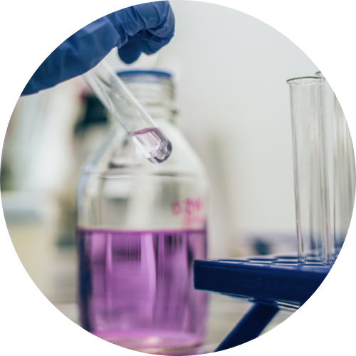 Genomic testing underway in the laboratory, applied to industrial fermentation control