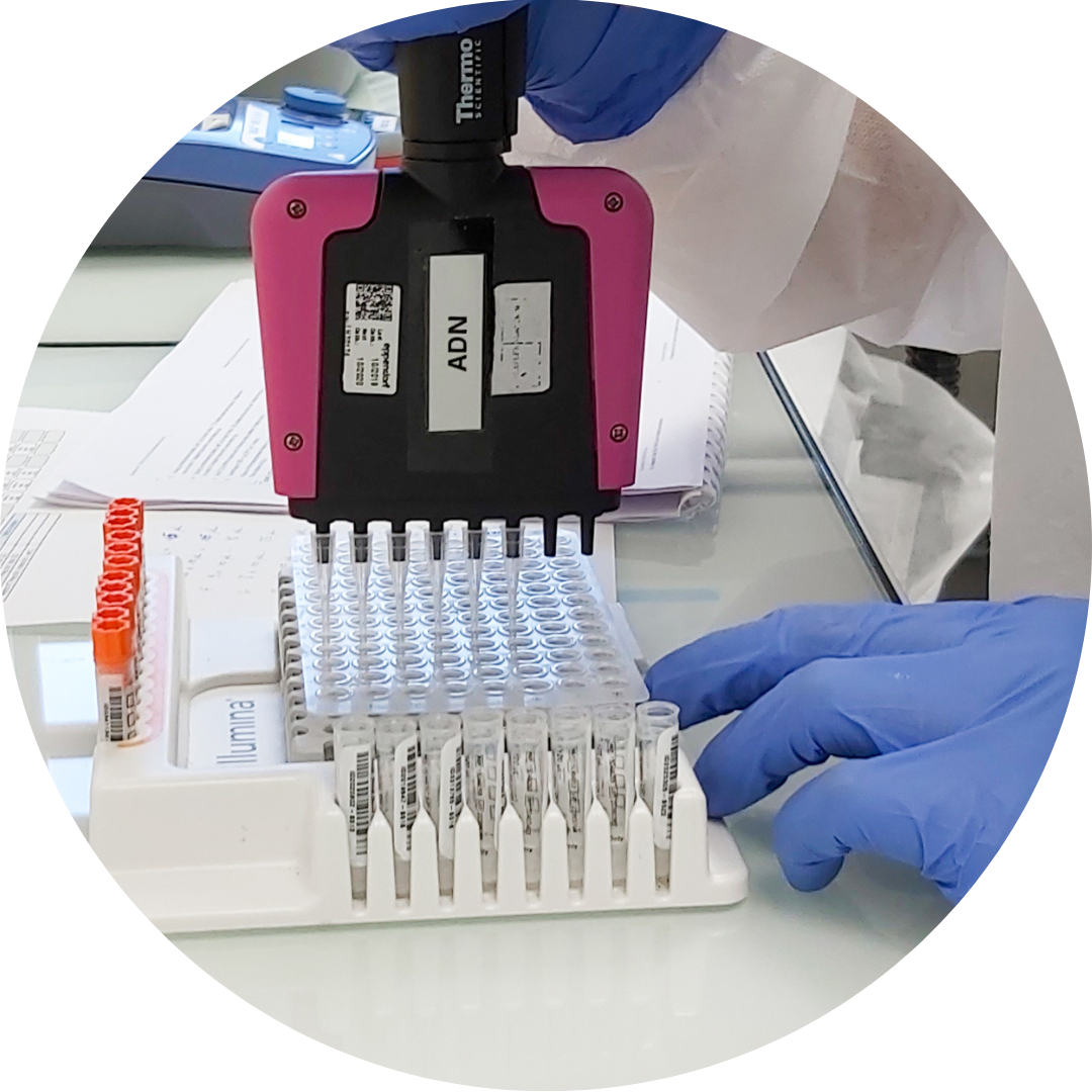 GenoScreen - GCLP-compliant