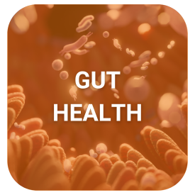 GUT HEALTH