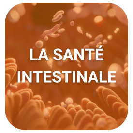 SANTE INTESTINALE