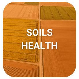 SOILS HEALTH